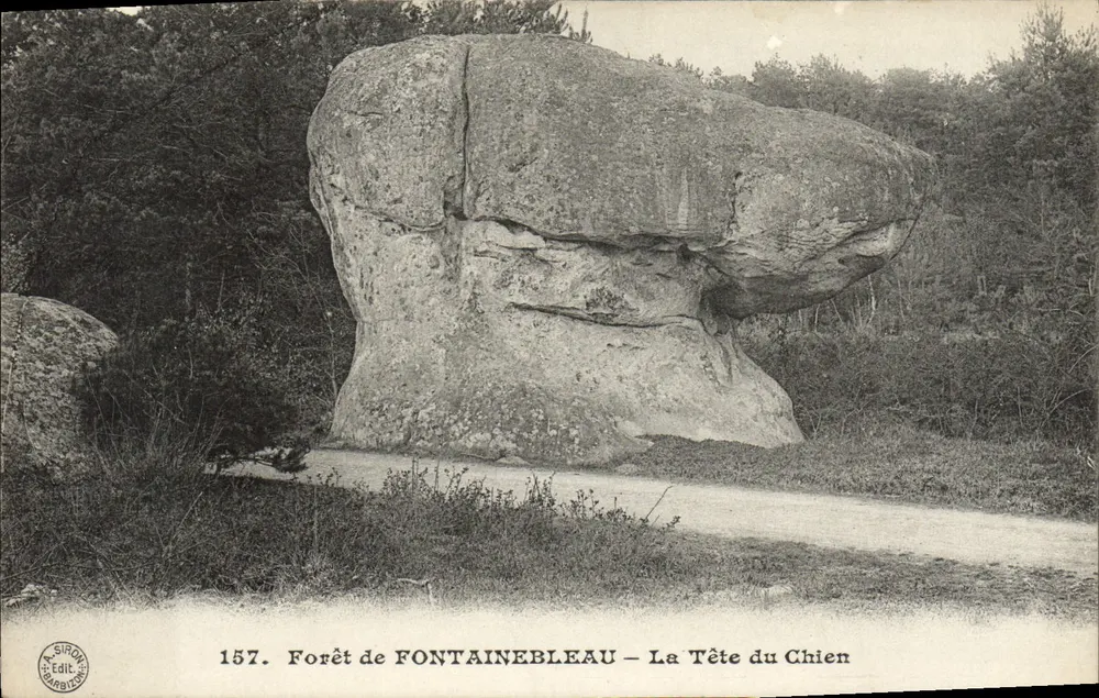 WALD VON FONTAINEBLEAU — Der Kopf des Hundes — A. SIRON Edit. - Vorderseite