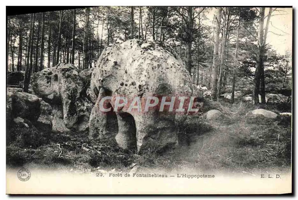 Forêt de Fontainebleau — Das Nilpferd — E. L. D. - Vorderseite