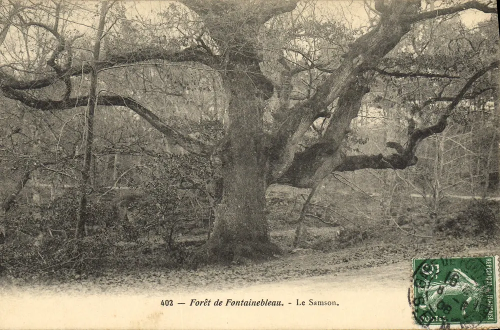 Floresta de Fontainebleau — O Samson — Editor não identificado, n° 402 - Frente