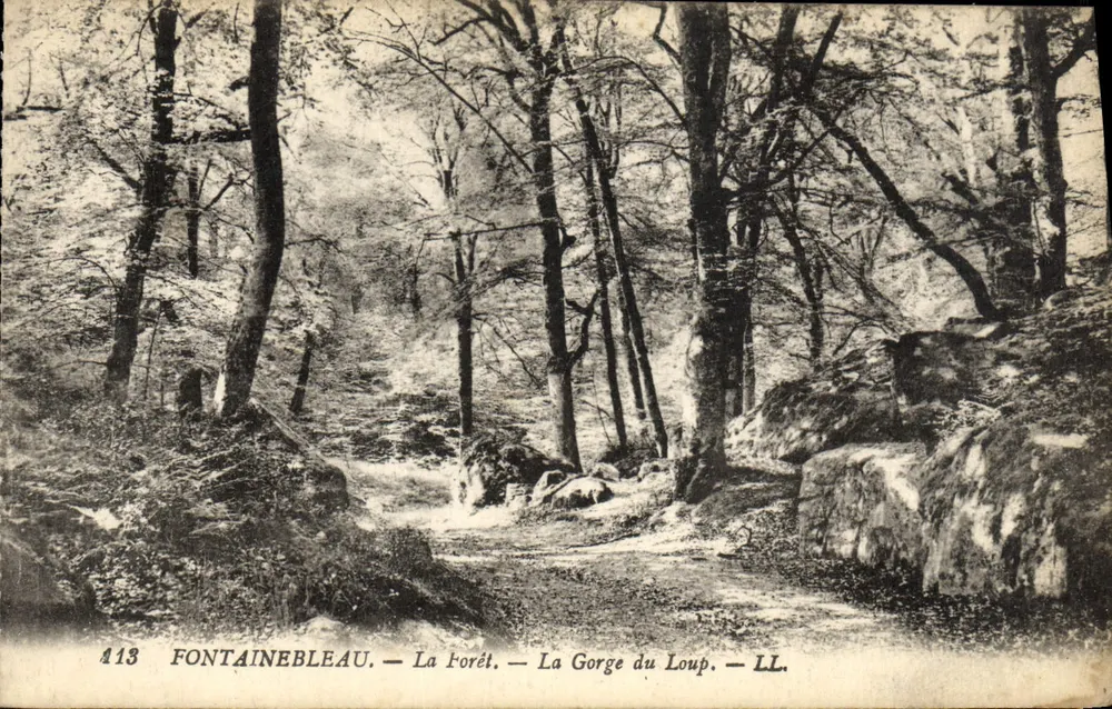 Fontainebleau — Die Forêt — Die Gorge du Loup — LL. — n°413 - Vorderseite