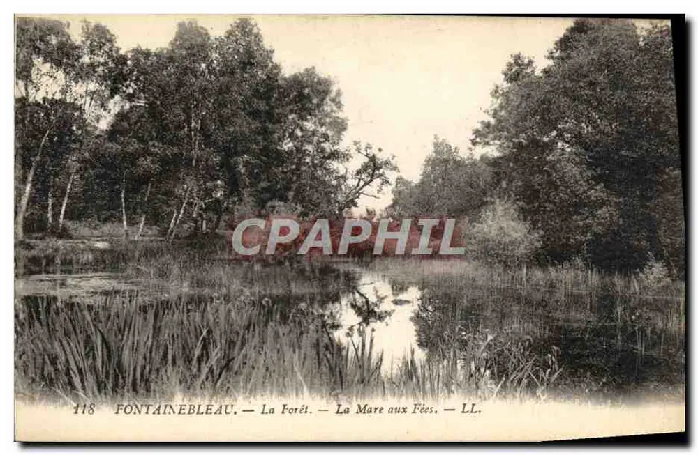 Fontainebleau — Die Wald — Das Fées-See — LL — Nr. 118 - Vorderseite