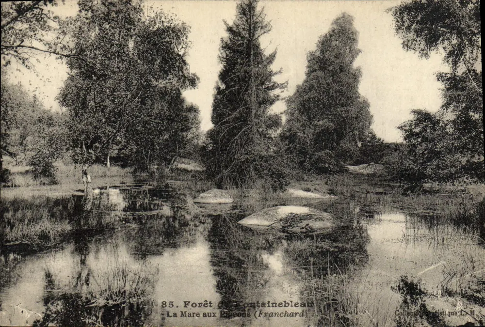 La Mare aux Ribois (Franchard) — Forêt de Fontainebleau — Kunstsammlung L.M. - Vorderseite