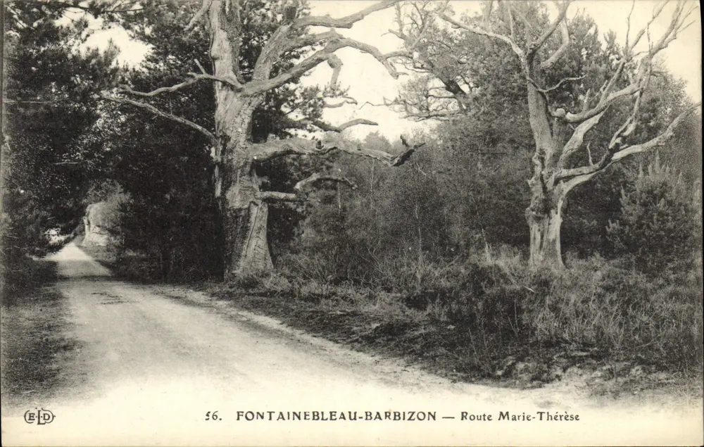 Fontainebleau-Barbizon — Rua Marie-Thérèse — E.D. n°56 - Frente