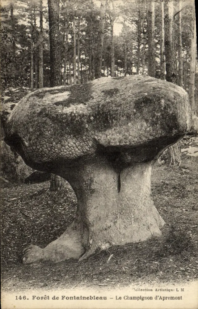 Floresta de Fontainebleau — O Champignon d'Apremont — Coleção Artística L.M. n°146 - Frente