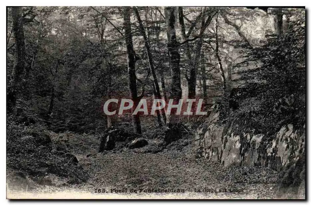 Forêt de Fontainebleau — La Gorge aux Loups — n°163 - Vorderseite
