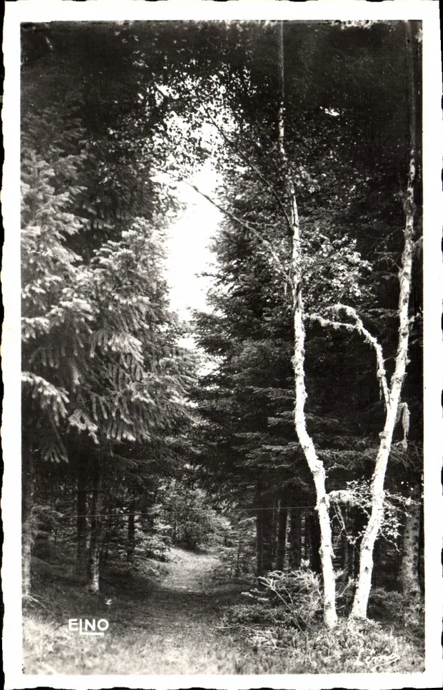 Schwarzwald — La Louvesc (Ardèche) — Edition Margerit-Bremond - Vorderseite