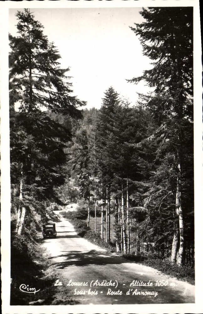 La Louvesc (Ardèche) — Floresta — Estrada de Annonay — editor Cim - Frente