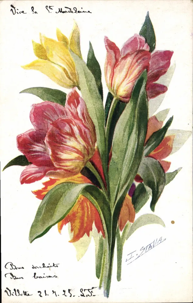 Tulipan — kleurrijke bos — P. J. Gallais & Cie, uitgever, nr. 192 - Voorkant