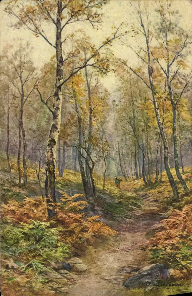 Bosque de otoño — pintura de C. Veldbooms — editor: STF, n°23 - Anverso