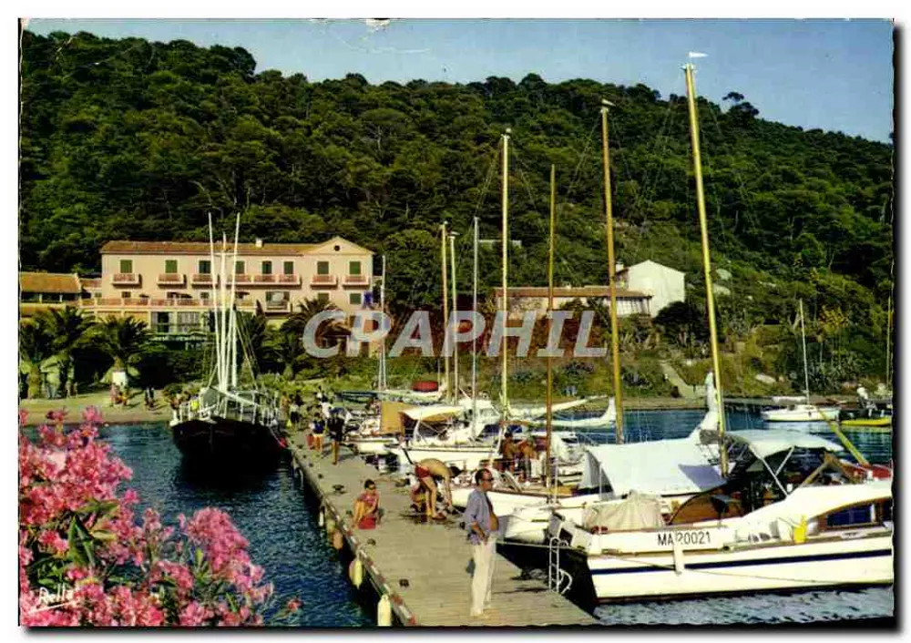 Port de Port-Cros — vue du port avec voiliers et hôtel — éditeur Rellacolor, n° série MA 20021 - Vorderseite