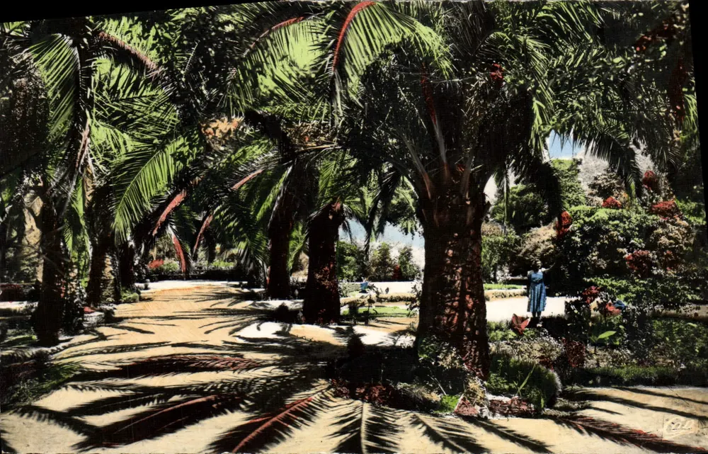 Tunísia - Jardim Público de Tunis — editor Réal Photo, n° 182 - Frente