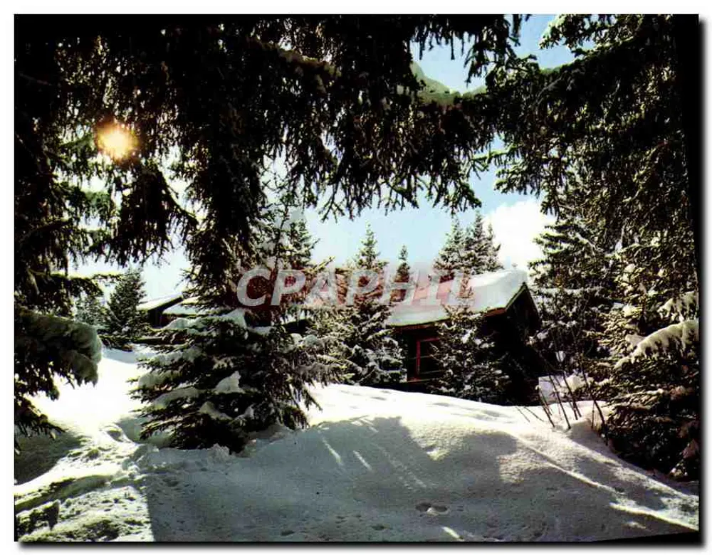 Cenário de sous-bois na neve — Edições Gil, G 19023 - Frente