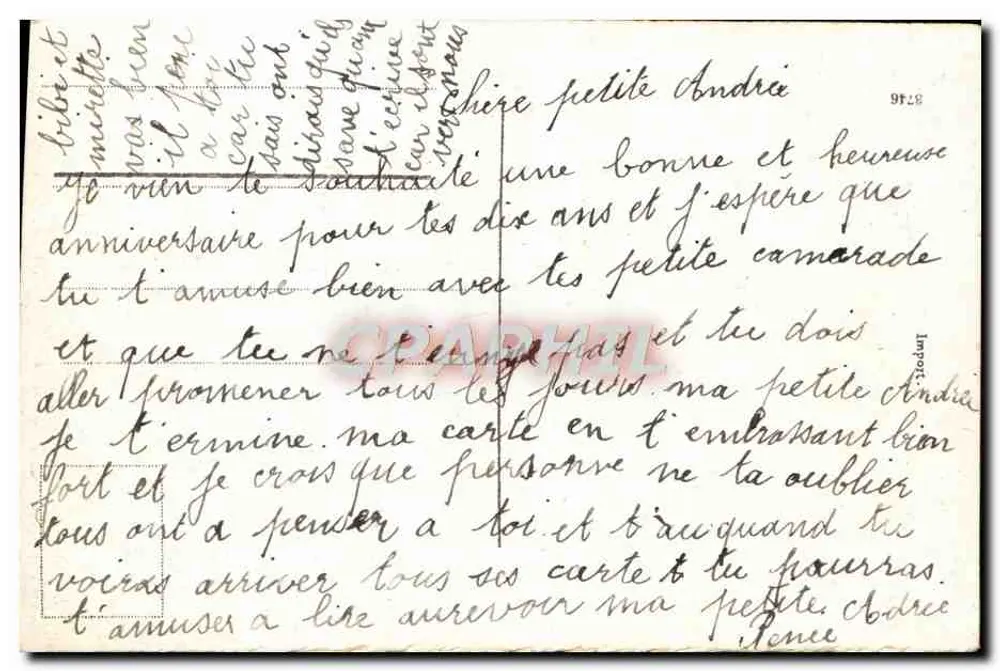 Flores de violeta e trevo — Aniversário — editor não visível - Verso