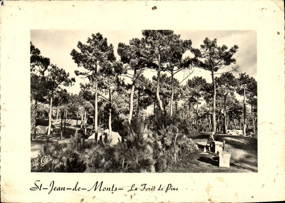 St-Jean-de-Monts — De Pinewoud — Cie des Arts Photomécaniques, Parijs - Voorkant