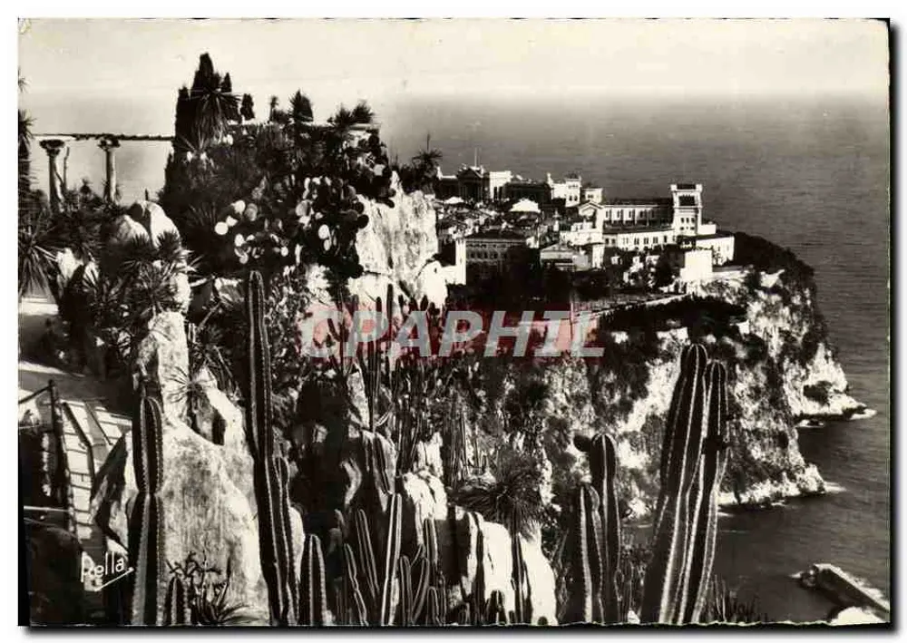 Monte-Carlo — Der exotische Garten und der Felsen von Monaco — RELLA - Vorderseite