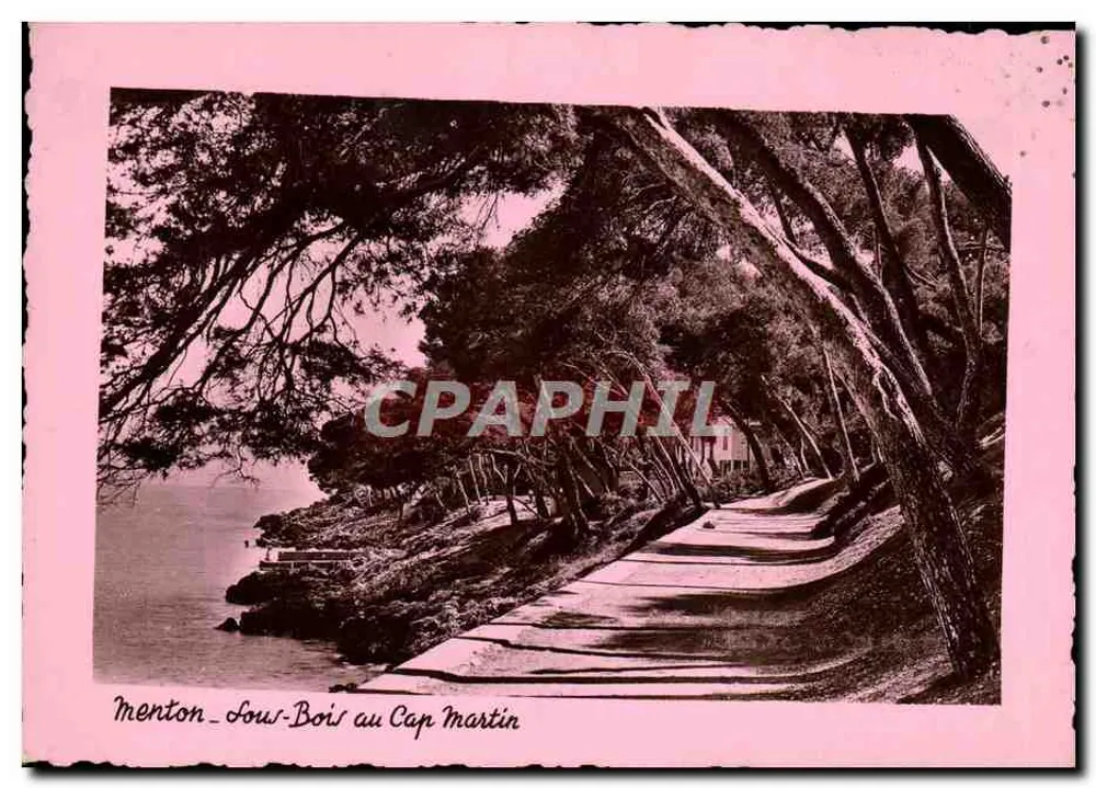 Menton - Sous-Bois au Cap Martin — Edições Montluet-Munier, Nice, n°140 - Frente