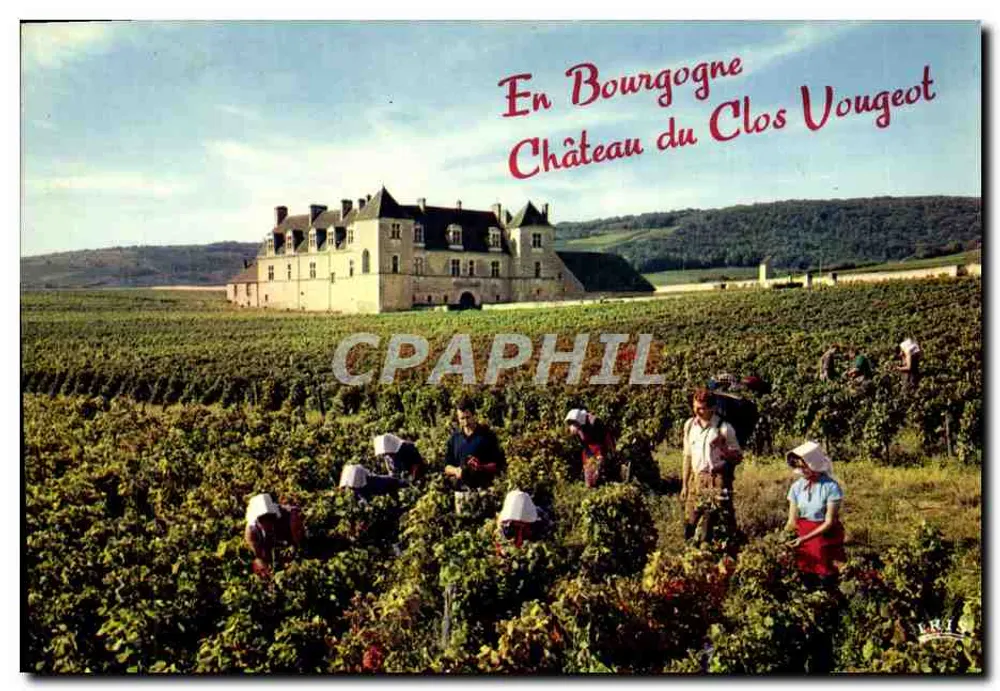 Em Borgonha — Castelo do Clos Vougeot — Lumicap - Frente