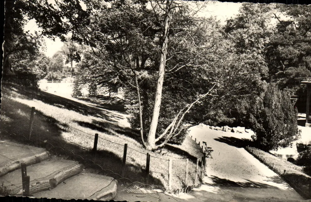 Paris - O parque Montsouris — Éditions Nozais, n°311 - Frente