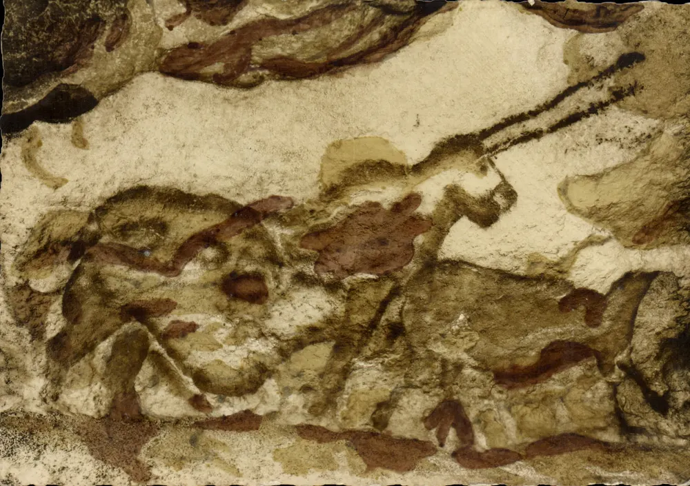 Prähistorische Höhle von Laseaux — Montignac-sur-Vézère (Dordogne) — Photo Windels - Vorderseite