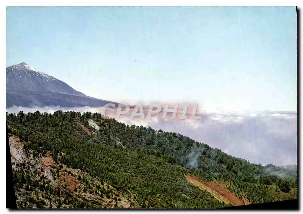 Tenerife - Monte de la Esperanza y Teide — Garcia & Cia S.R.C. - Vorderseite