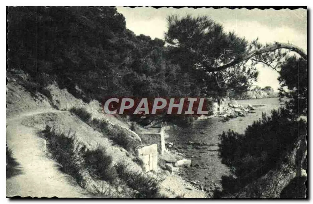 Toulon (Var) — Weg der Zollbeamten — Die geneigten Kiefern — Éditions du Globe - Vorderseite