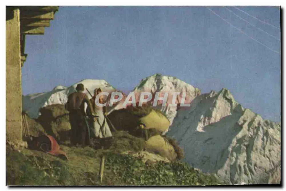 Vida na montanha: o regain na Tarentaise — editor Pelleter - Frente