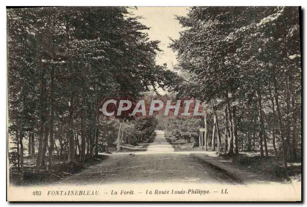 Fontainebleau — Der Wald — Die Straße Louis-Philippe — LL — n°403 - Vorderseite