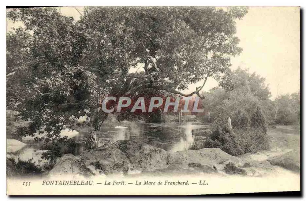 Fontainebleau — Der Wald — Der Francbard-See — LL. — Nr. 133 - Vorderseite