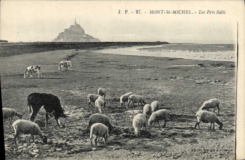 Mont-Saint-Michel — Les Prés Salés — Édition spéciale L'Anjou - Vorderseite