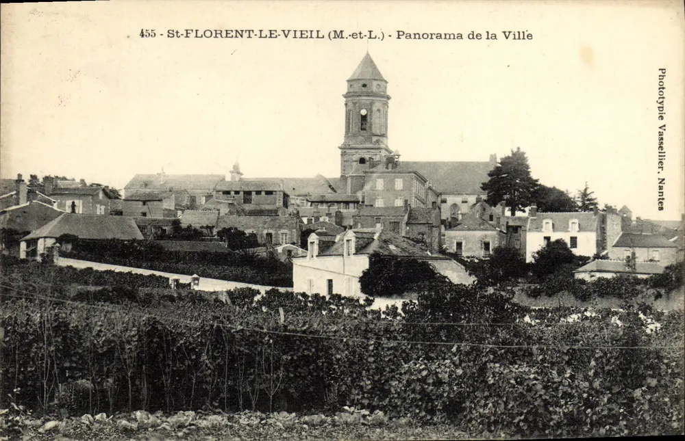 St-Florent-le-Vieil (M.-et-L.) — Panorama der Stadt — Phototype Vasselier, Nantes - Vorderseite