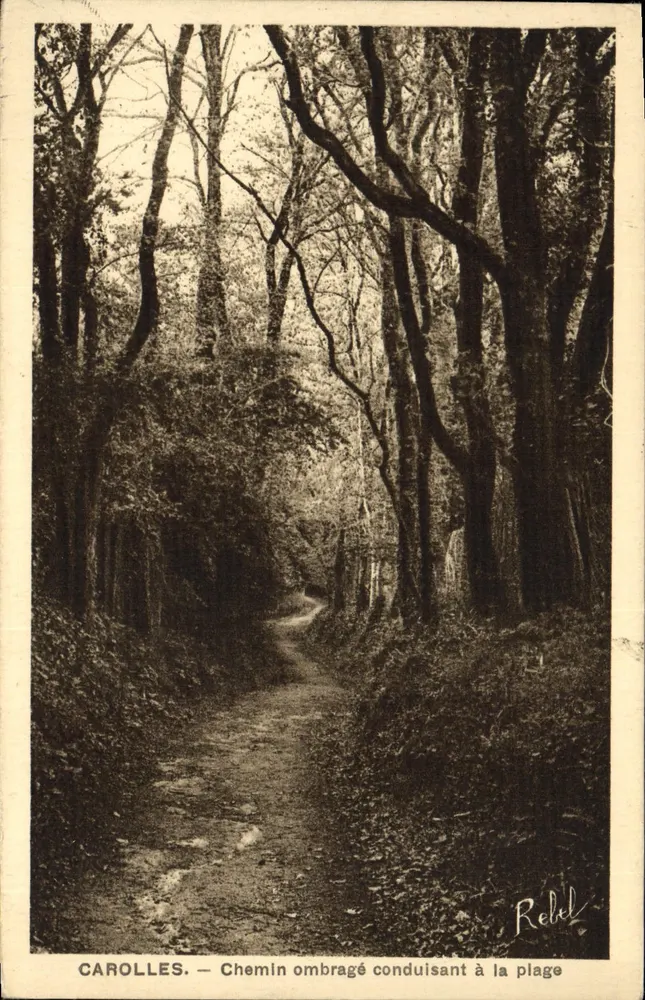 Carolles — Schattiger Weg zum Strand — Rebel - Vorderseite