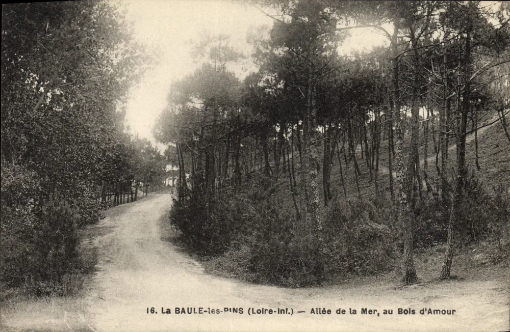 La Baule-les-Pins (Loire-Inf.) — Allée de la Mer, au Bois d'Amour - Vorderseite