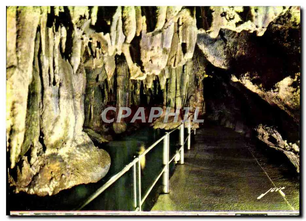 Grutas de Betharram — Os cogumelos deitados — Jove - Frente