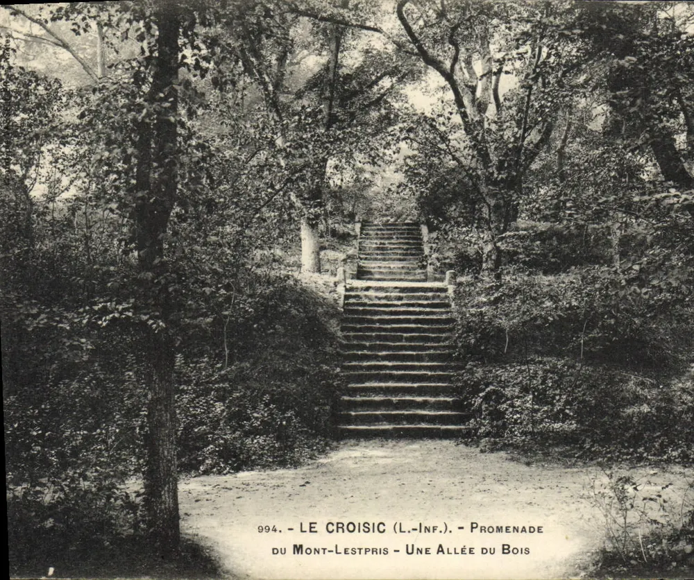 Le Croisic (S.-Inf.) — Promenade du Mont-Lestpris — Ein Weg durch den Wald - Vorderseite