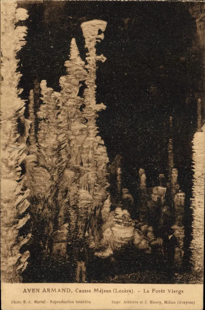 Aven Armand — Causse Méjean (Lozère) — Die Jungfrau-Forest — Foto M.-A. Martel — Impr. Artières et J. Maury, Millau (Aveyron) - Vorderseite