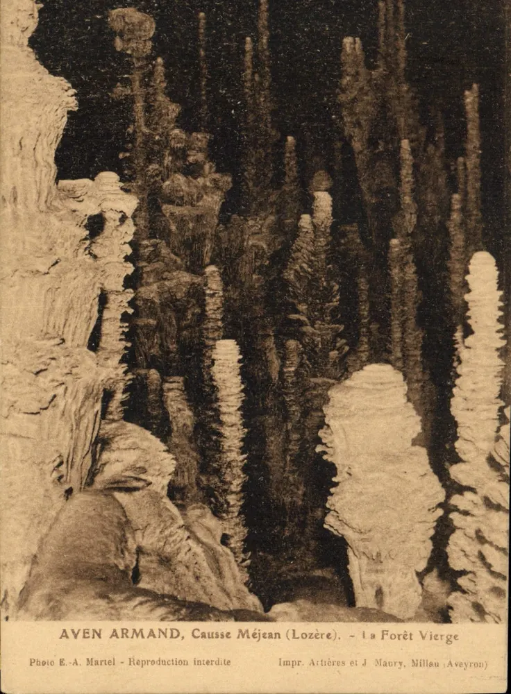 Aven Armand, Causse Méjean (Lozère) — Der Jungfrauwald — Foto E.-A. Martel, Impr. Actières et J. Maury, Millau (Aveyron) - Vorderseite