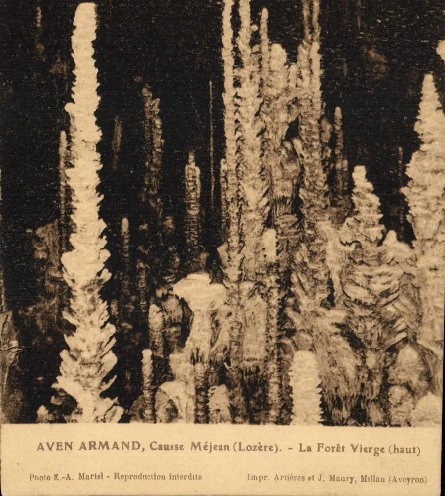 Aven Armand, Causse Méjean (Lozère) — Die Urwald (oben) — Foto E.-A. Martel, Impr. Artières et J. Maury, Millau (Aveyron) - Vorderseite
