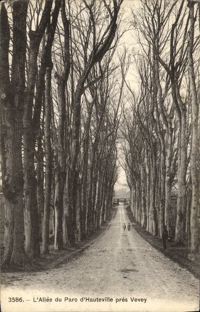 Die Avenue des Parks von Hauteville nahe Vevey — Phototypie Co. Neuchâtel, Nr. 3586 - Vorderseite