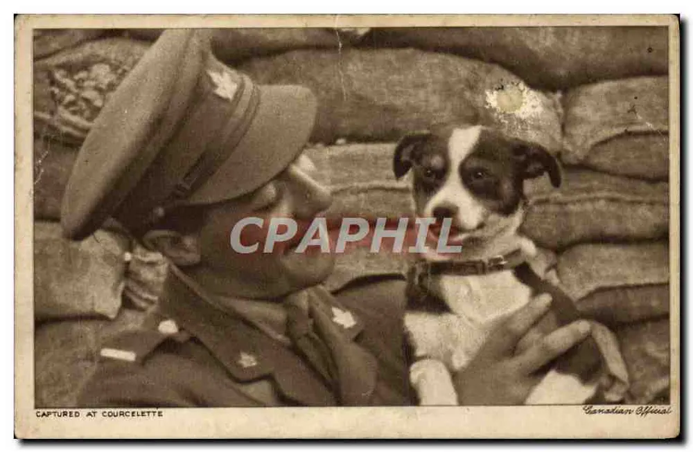 Soldat canadien et chien — scène de tranchée à Courcellette — éditeur Canadian Official - Frente