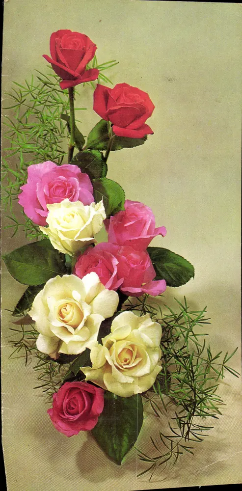 Bouquet de roses — composition florale avec asparagus — éditeur non visible - Frente