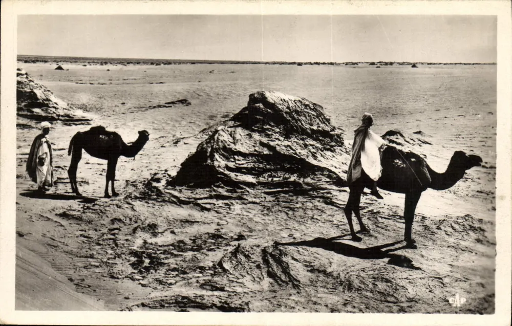 Camelôs no Deserto — Série (48) — Editor C.A.P. Paris - Frente