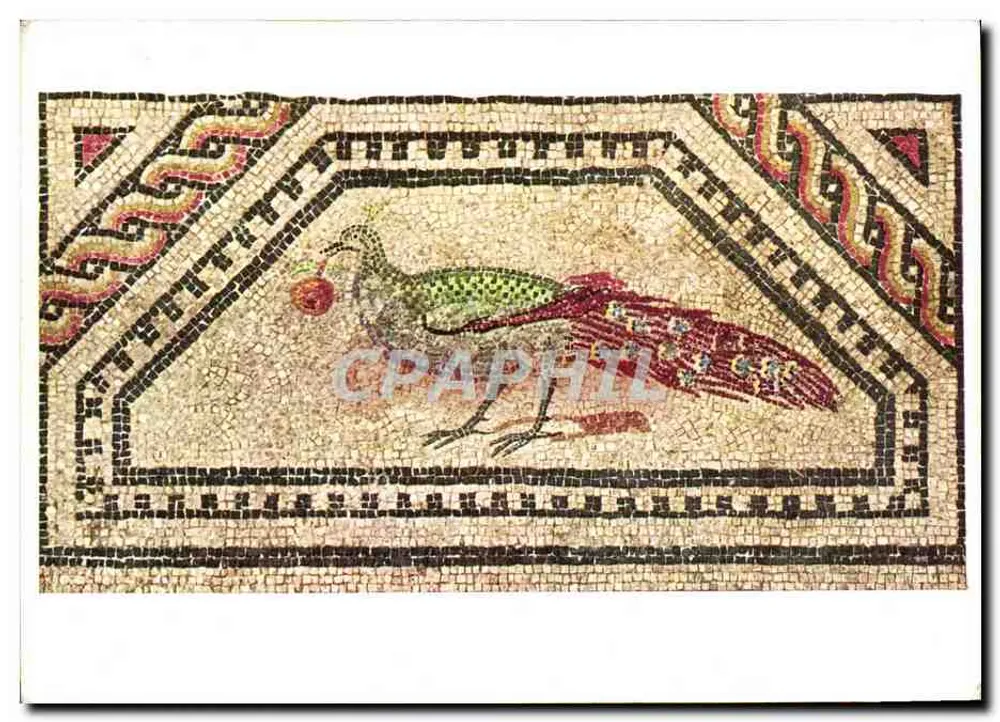 Mosaico de Dionísio — Pavão colorido segurando uma pera — Museu Römisch-Germanisches Museum Köln, n°110 - Frente