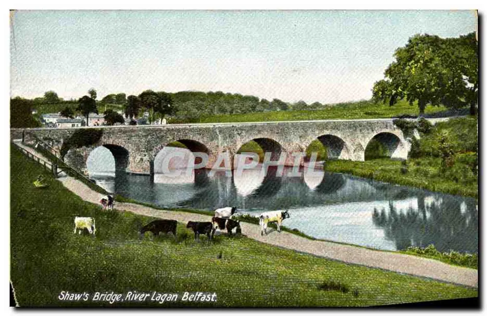 Shaw's Bridge, Rio Lagan, Belfast — vista de ponte de pedra com vacas — Lawrence, Dublin - Frente
