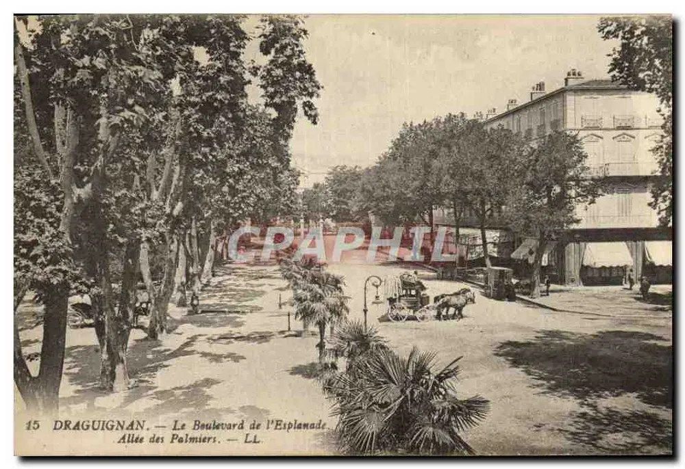 Draguignan — Boulevard de l'Esplanade — Allée des Palmiers — LL - Vorderseite