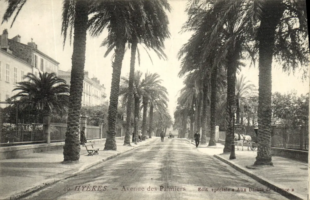 Hyères — Avenida dos Palmieras — Edição especial « Aux Dames de France » - Frente