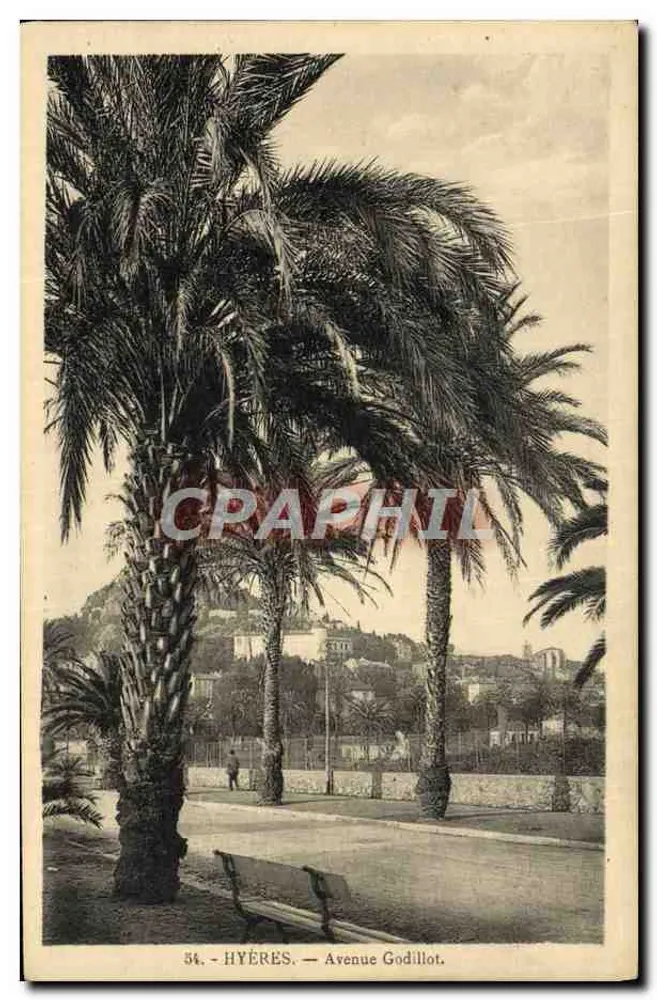 Hyères — Avenida Godillot — visão com palmeiras e banco - Frente