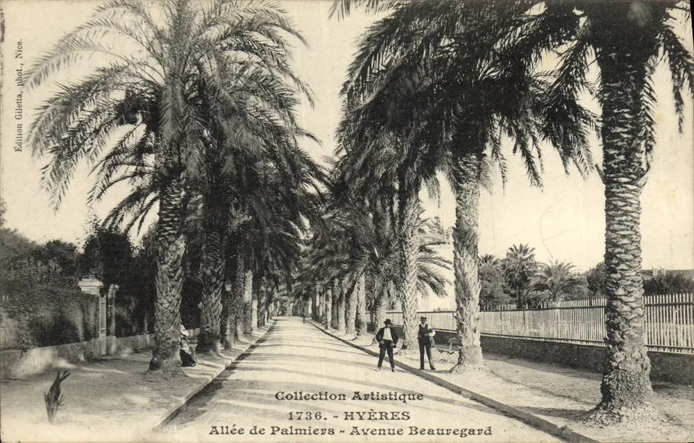 Palmengasse - Avenue Beauregard — Hyères — Édition Giletta, Fotografie Nice, Nr. 1736 - Vorderseite