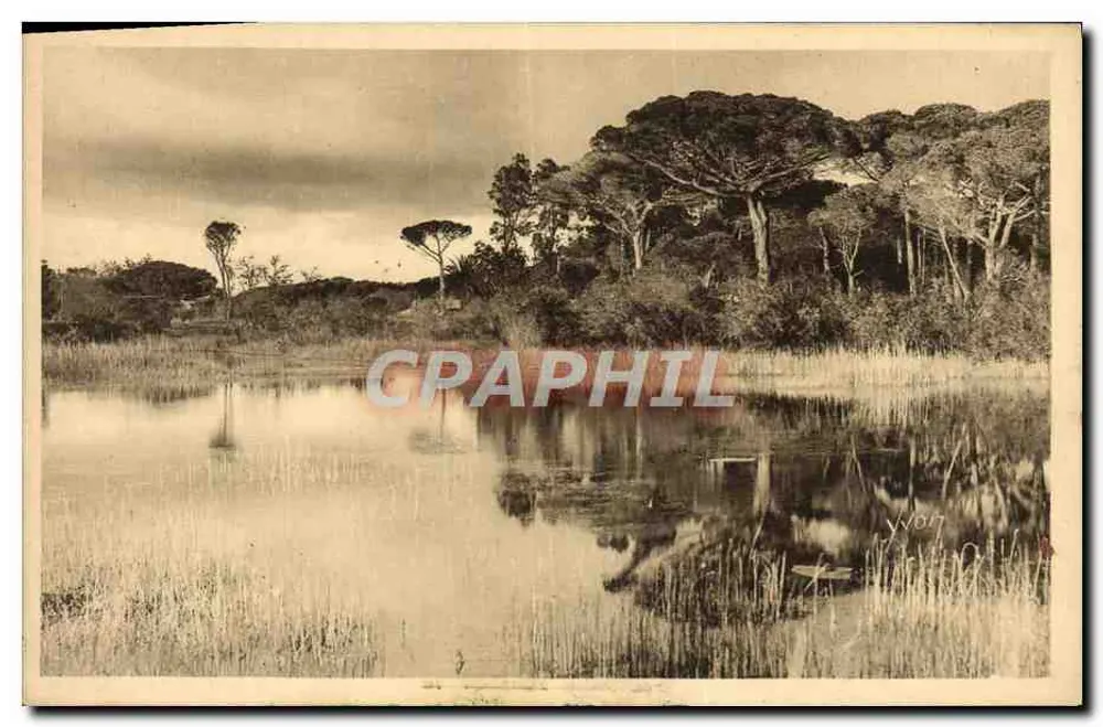 Hyères - Landschaft entlang der Strandstraße - Éditions Yvon - Vorderseite