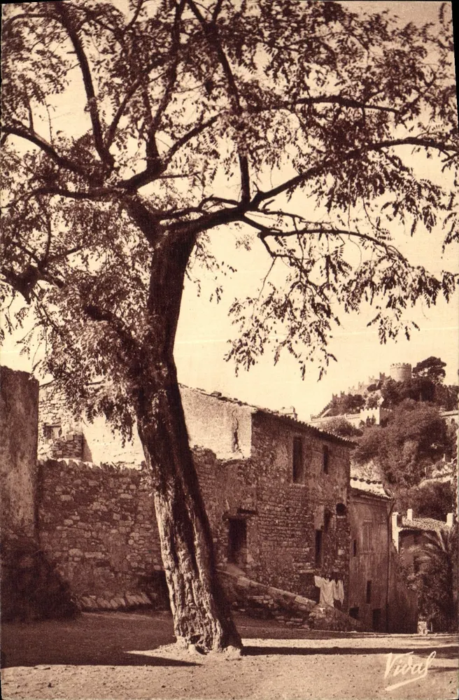 Schlossblick von der Place Saint Paul — Hyères (Var) — Vidal - Vorderseite