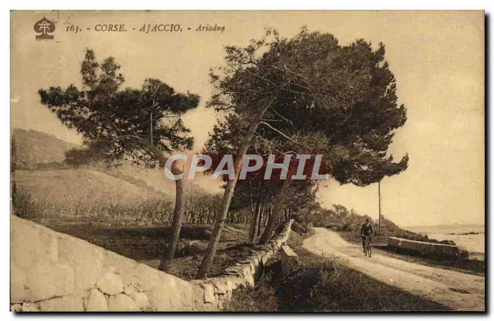 Ariadne - Ajaccio - Córsega — Foto A. Tomasi Ajaccio, n°163 - Frente